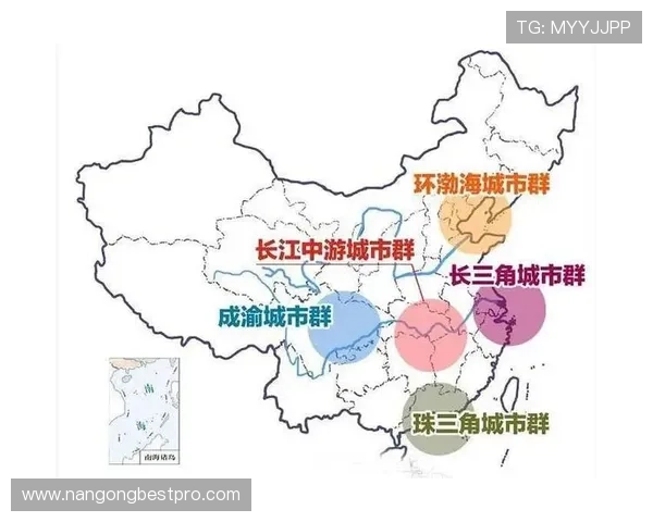伯明翰俱乐部历史沿革与现状分析及未来发展展望